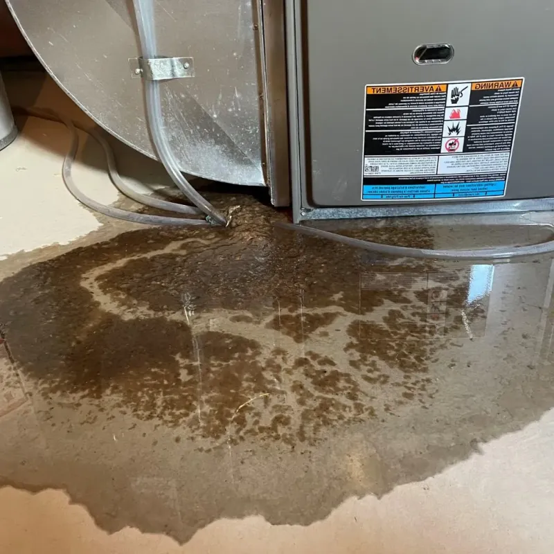 Pipe Burst and Leak Restoration in Wabash, IN